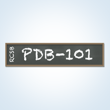 PDB 101 Learn Guide To Understanding PDB Data Introduction