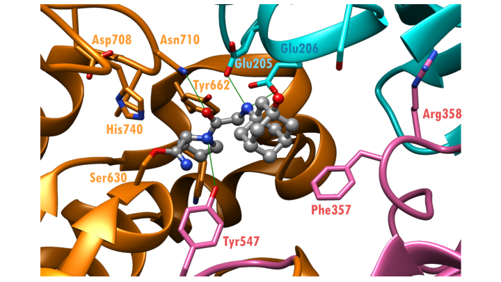 PDB 101 Diabetes Mellitus Diabetes Mellitus Undefined Vildagliptin