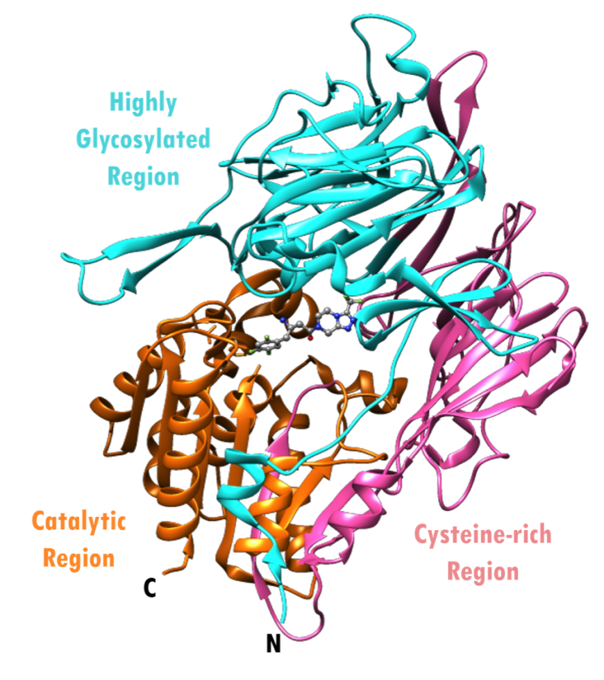 PDB 101 Diabetes Mellitus Diabetes Mellitus Undefined Sitagliptin