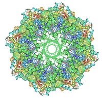 Image of 3izi created using Protein Workshop.