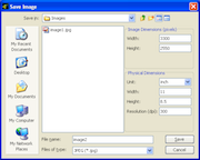 The 'Save Image' dialog box.