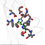 Use the Sequence Tab to view sequence annotations in Jmol, such as the biotin binding site shown here in entry 1STP.