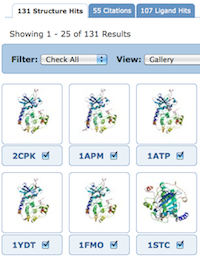 Gallery view for a search for cAMP-dependent protein kinase structures.  Images can be resized, and entries can be selected or deselected.