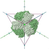 To create this image, select the 'View in 3D' link for PDB ID 1G63, and then select Jmol options polyhedron: on; axes: on; style: CPK; color: symmetry; and deselect background: black.