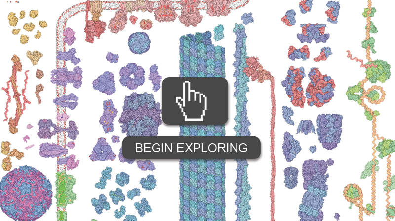 Interactive Tour of the PDB
