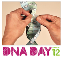Build a paper model of DNA using the activity found at PDB-101's Educational Resources.
