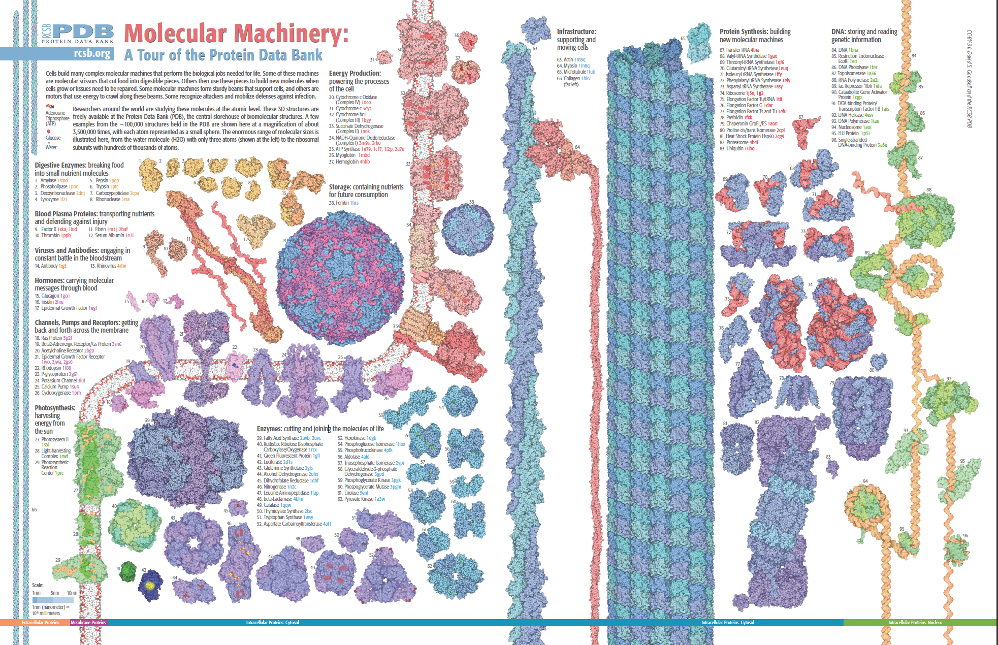 Full Molecular Machinery