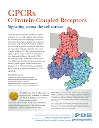 G-Protein Coupled Receptors: 
In honor of the 2012 Nobel Prize in Chemistry.