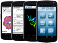 The beta #1 Android  version of RCSB PDB Mobile app available for download.