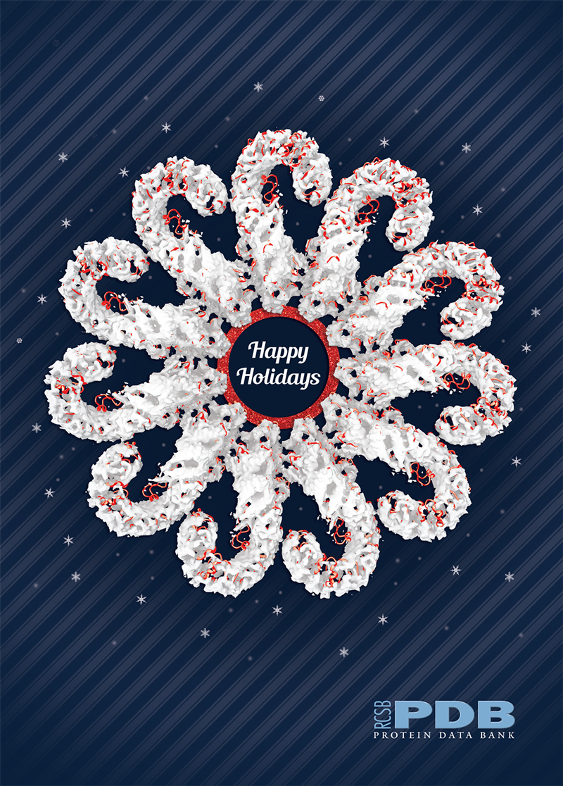 Best wishes for this Holiday Season from the RCSB PDB