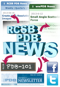 Keep up to date with RCSB PDB News