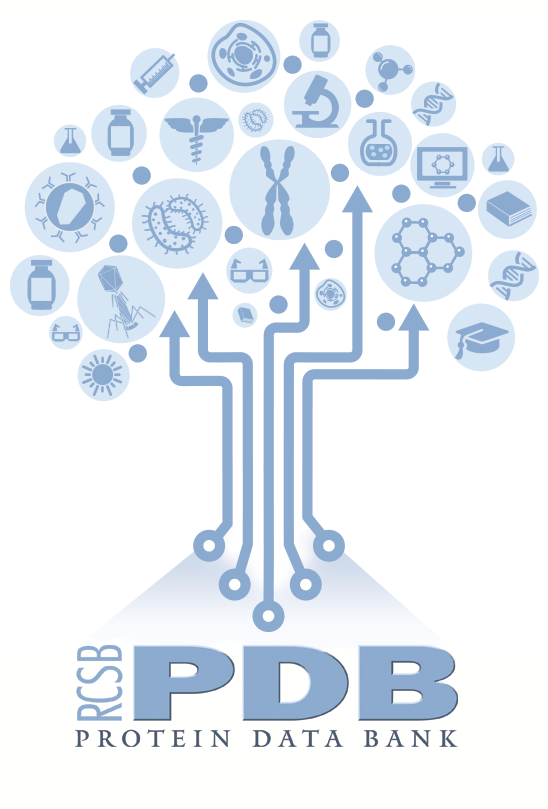 Decorative image showing RCSB PDB logo at bottom with arrows pointing to icons representing different scientific fields