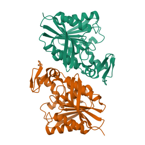 Structure 10BV