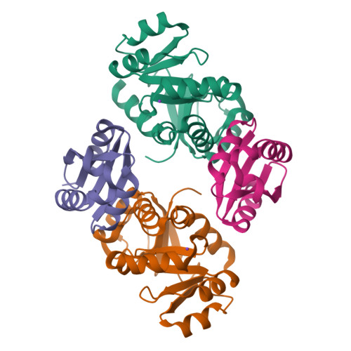 Structure 10CY