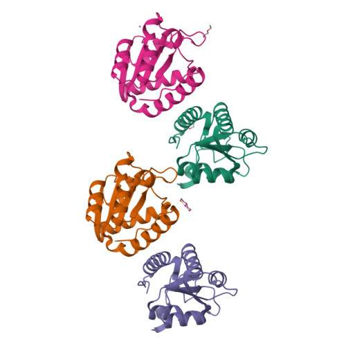 Structure 10DA