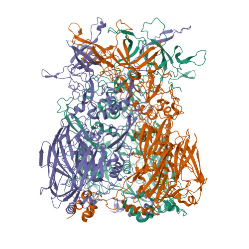 Structure 10DP