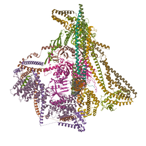 Structure 10DQ