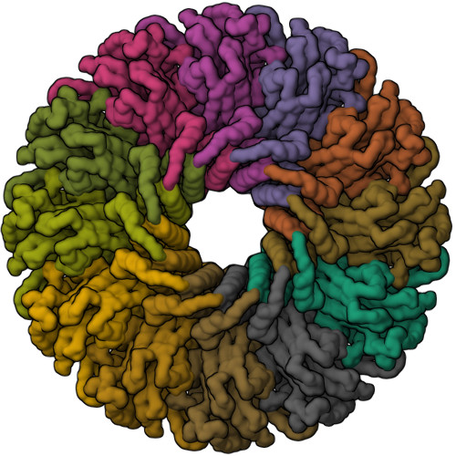 Structure 10EC