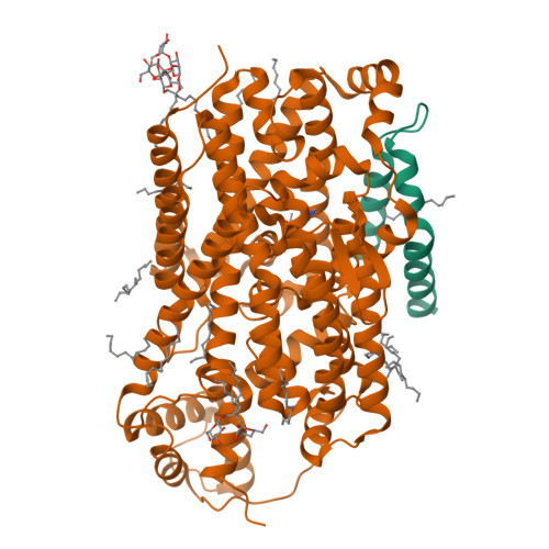 Structure 10ED