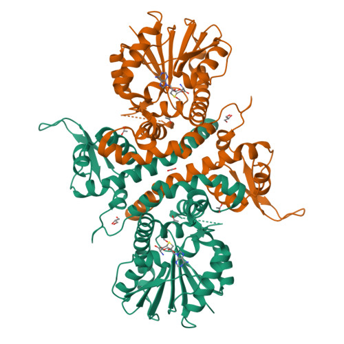 Structure 10EE