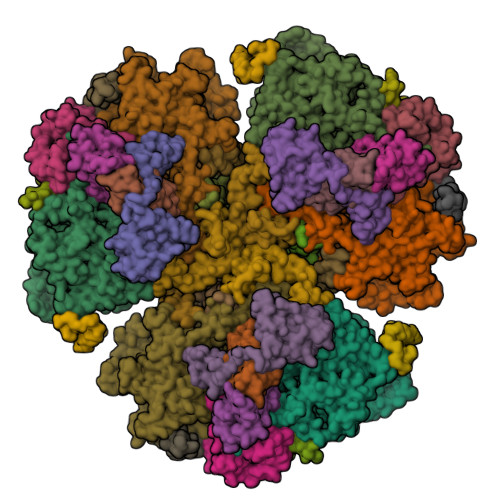 Structure 10EG