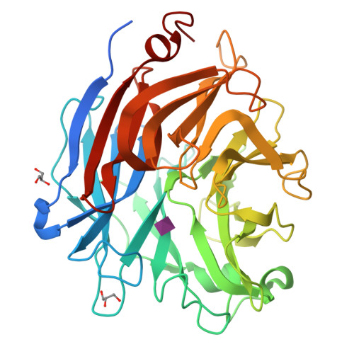 Structure 10EI