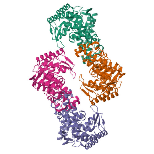 Structure 10FA