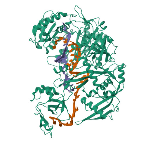 Structure 10JH