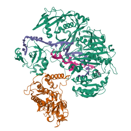 Structure 10JI