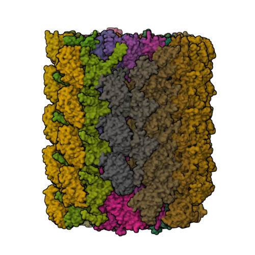 Structure 10LK