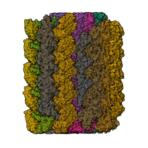 Structure 10LL