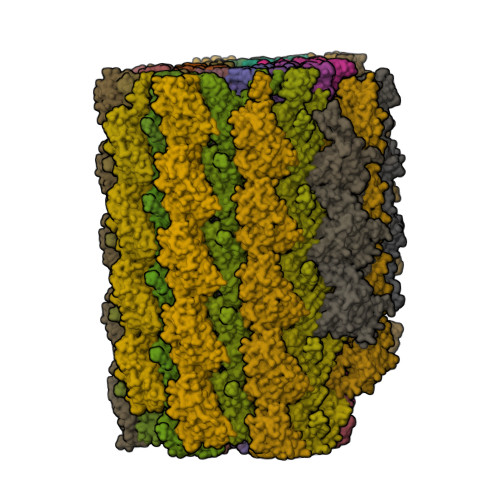 Structure 10LM