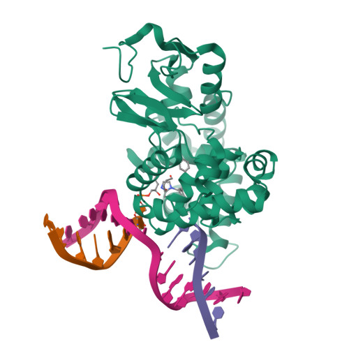 Structure 10MN