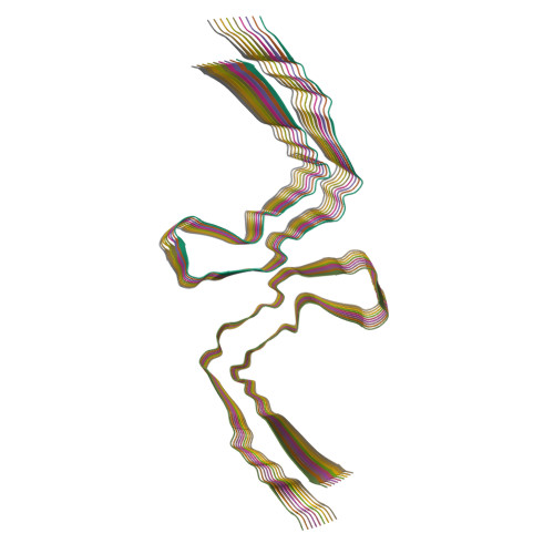 Structure 10MR