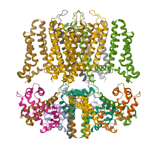 Structure 10NK