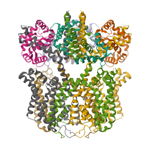 Structure 10NL