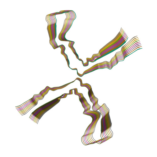 Structure 10NT