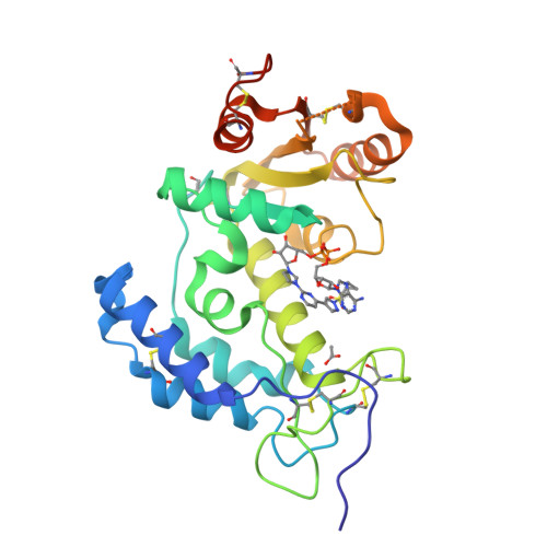 Structure 10OT