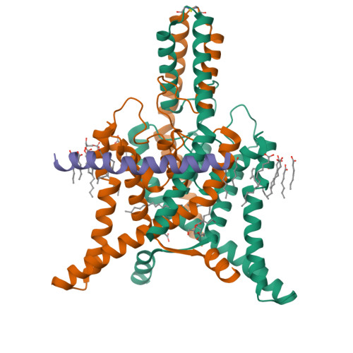 Structure 10PC