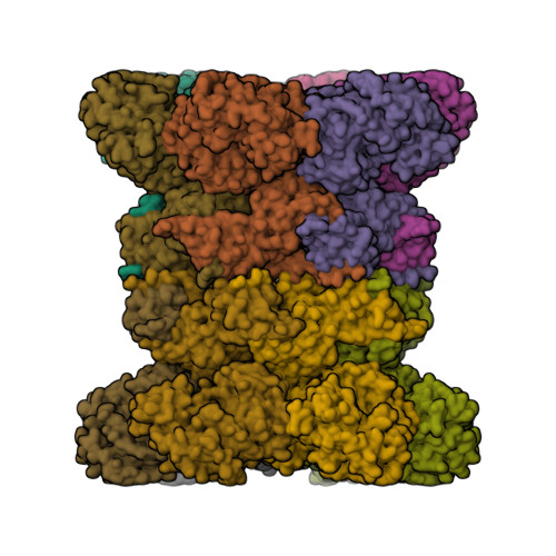 RCSB PDB - 10QQ: Structure of human VCP/p97 dodecamer bound to ADP ...