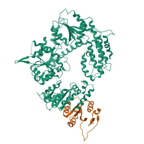 Structure 10QX
