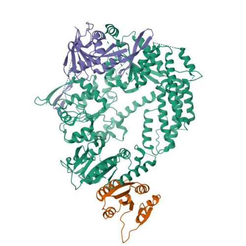 Structure 10QY