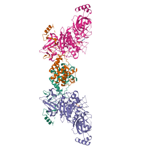 Structure 10RN