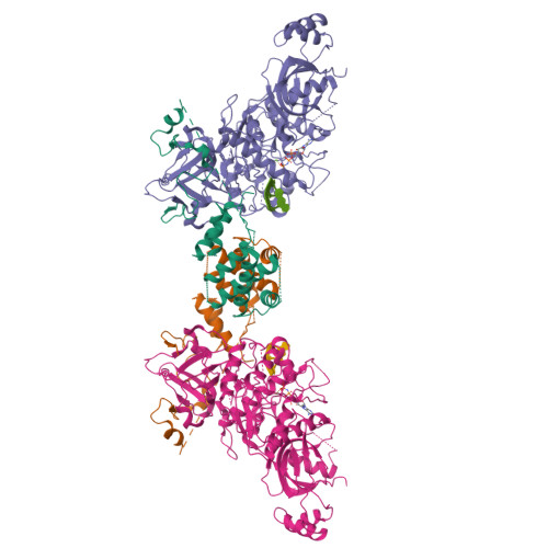 Structure 10RR