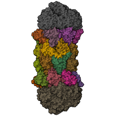 Structure 10SJ