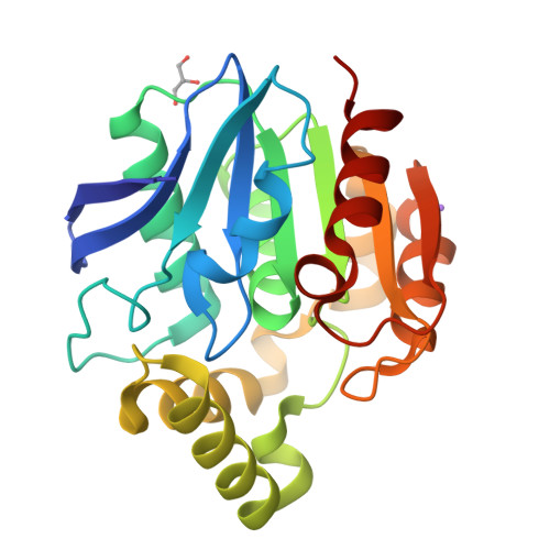 Structure 10XN
