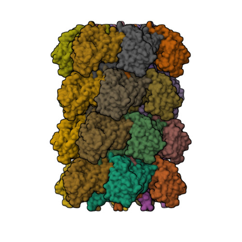 Structure 10XW