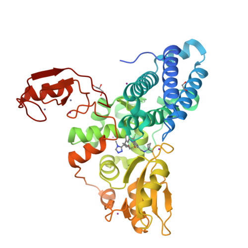 Structure 10YS