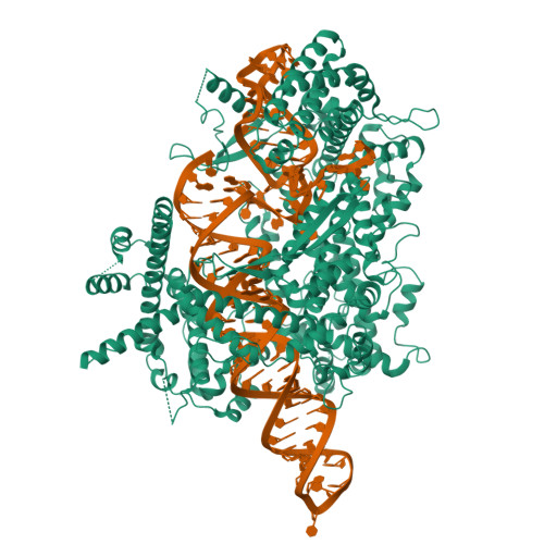 Structure 10ZP