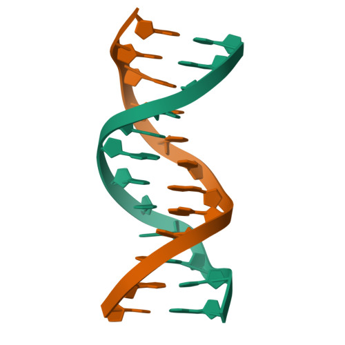 RCSB PDB - 114D: INOSINE-ADENINE BASE PAIRS IN A B-DNA DUPLEX